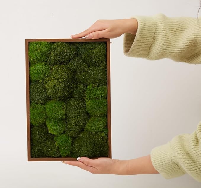 2 Color Mix Pack Preserved Pole Moss Pillow Bun Cushion Natural Decorative Green DIY Kit Art Wall Decor Florist Decor Easter Table Decor Wedding(1.5 sq.ft, Green-A,Green-B)