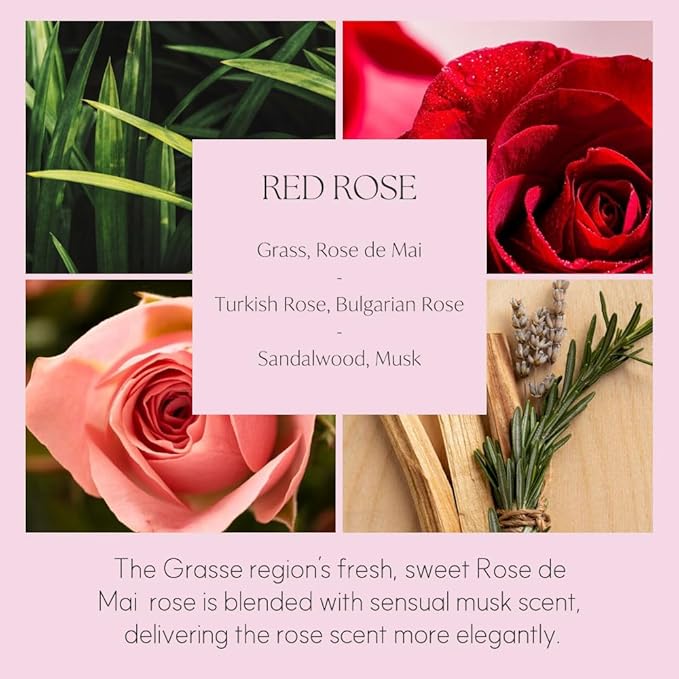 396 st. Dahlia Flower Reed Diffuser, Red Rose, 200ml(6.7oz) / Reed Diffuser Sets, Home Fragrance, Scented Oils, Home & Bathroom Décor