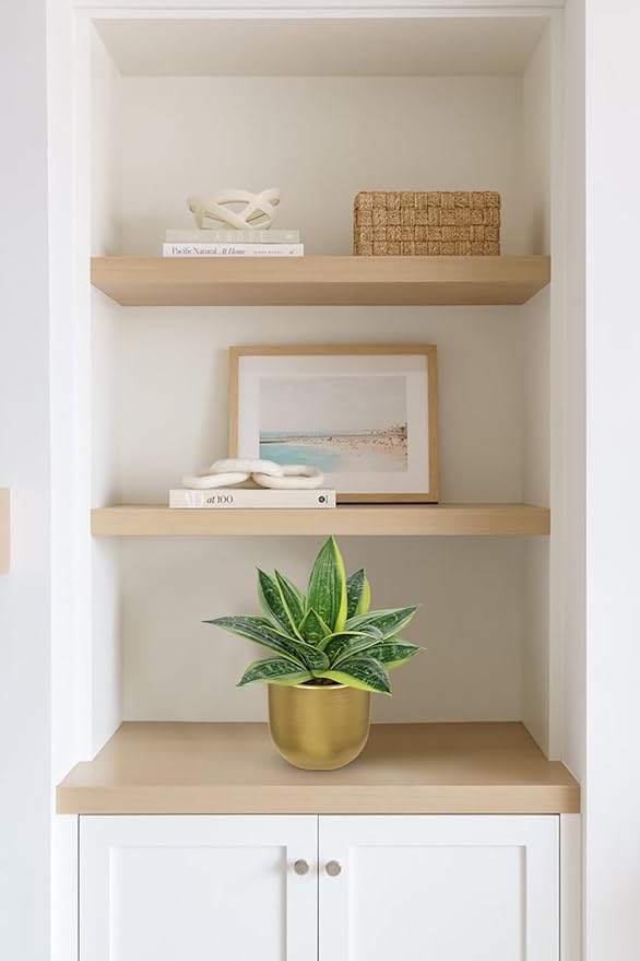 Hollyone Artificial Snake Plants 9" Faux Agave Succulent Plant Potted in Gold Pot Fake Sansevieria Aloe Tropical Plant for Desk Modern Office Home Bathroom Indoor Outdoor Decor