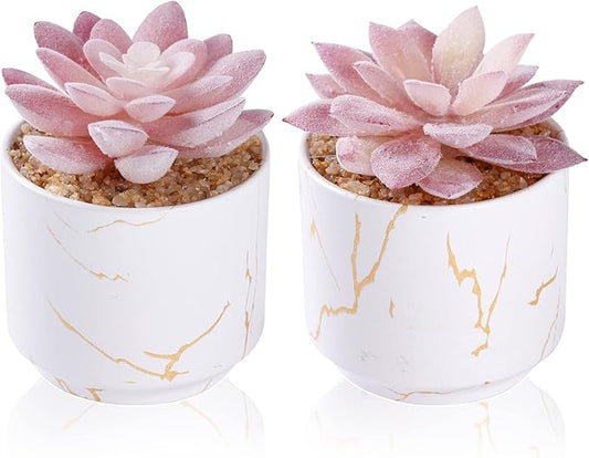 Artificial Plants and Succulents in 2 White Ceramic Pots,Small Fake Plants for Office and Desk Decor,Bathroom, Bedroom,Shelves for Women