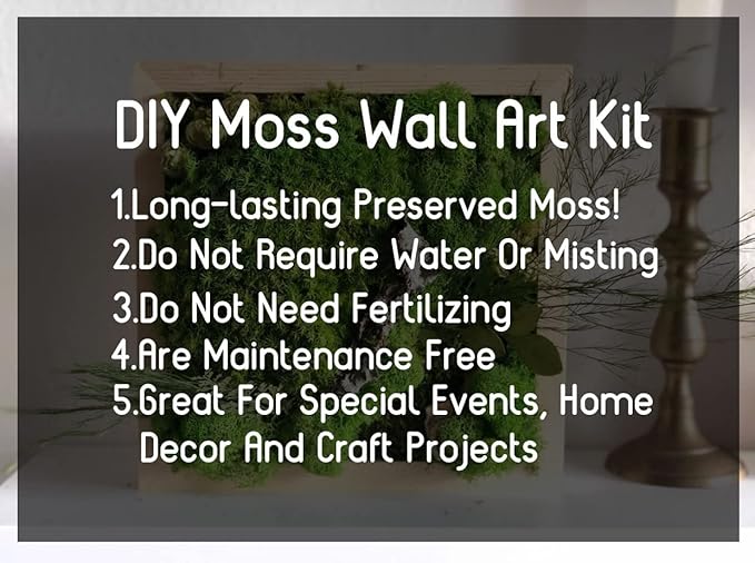 Preserved Reindeer Moss Natural Green DIY Kit Gardenning Art Wall Decor Florist Decor Easter Table Decor Wedding