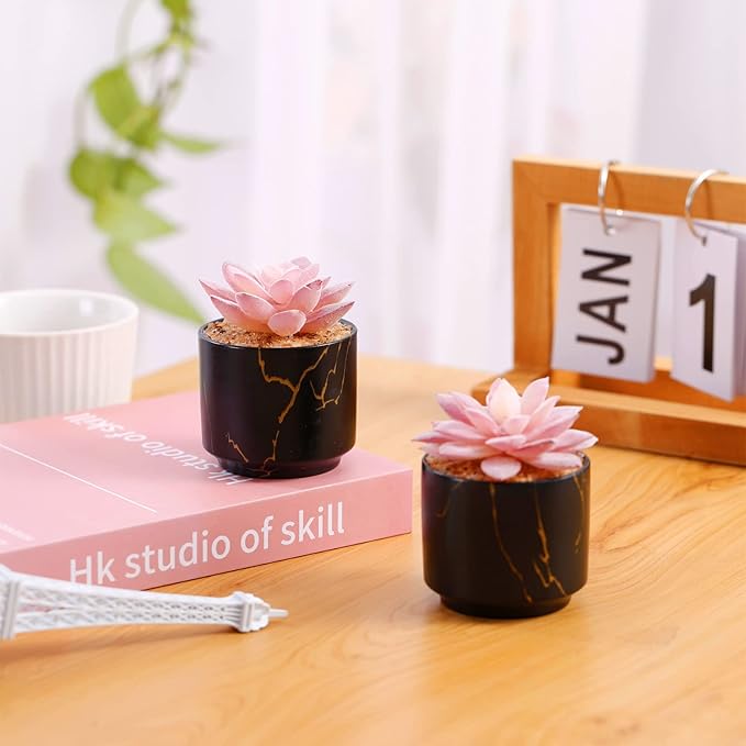 Succulent Artificial Plants,Cute Fake Succulents in 2 Black Ceramic Pots,Small Fake Plants for Office,Table,Desk,Bathroom, Bedroom,Aesthetic Room Shelves Decor,Desk Decorations for Women Office