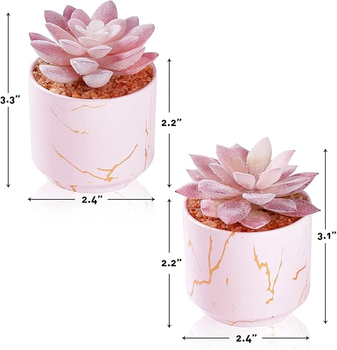 Succulent Artificial Plants,Cute Fake Succulents in 2 Pink Ceramic Pots,Small Fake Plants for Office,Table,Desk,Bathroom, Bedroom,Aesthetic Room Shelves Decor,Desk Decorations for Women Office
