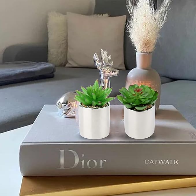 Briful Small Artificial Succulents in Pots Set of 2 Realistic Faux Succulents Plants with Silver Ceramic Pots Cute Mini Fake Plants Decor for Modern Home Table Office Desk Bathroom Shelf Decoration