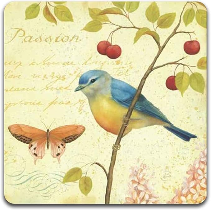 Bird and Butterfly Square Coaster Set - Made of Recycled Rubber - Set of 4