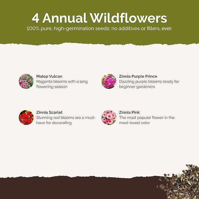 Eden Brothers Cupid's Flower Seed Mixed Seeds for Planting, 1 oz, 4,800,000+ Seeds with Malop Vulcan, Zinnia | Attracts Pollinators, Plant in Spring, Zones 2, 3, 4, 5, 6, 7, 8, 9, 10