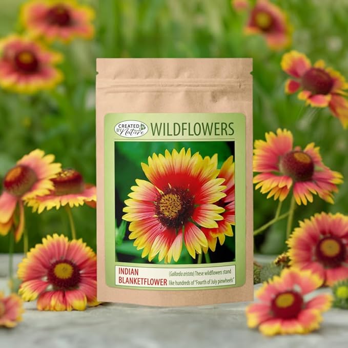 Created By Nature Indian Blanketflower Seeds, 5,640 Perennial Seeds