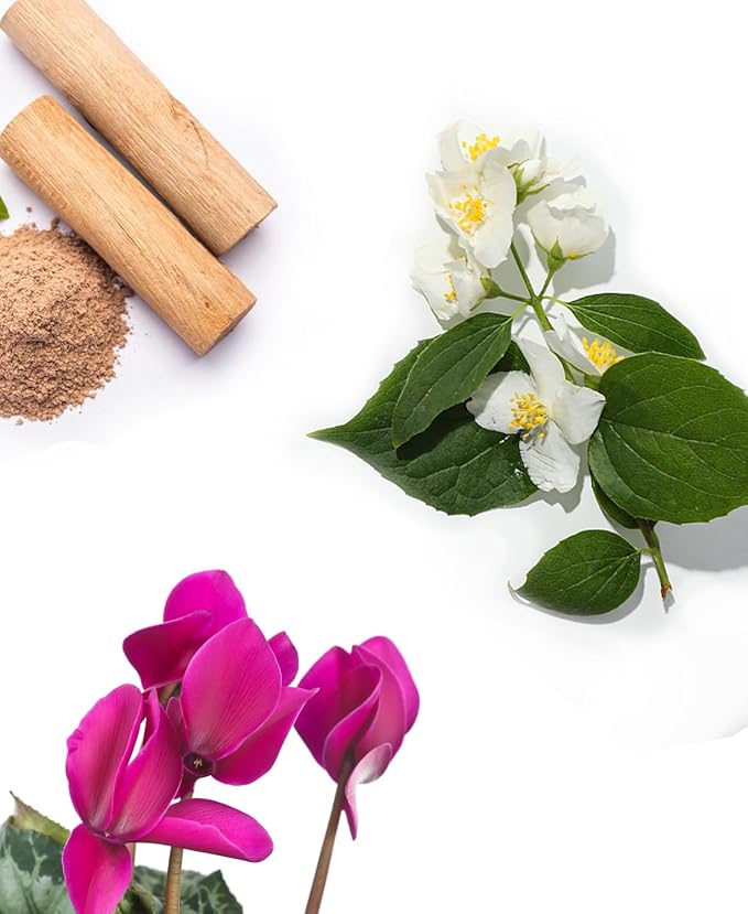 AromaPlan Hotel, Home Luxury Scents, Cloud 5.07 Fl Oz (150ml) | Fragrance for Cold Air & Waterless Diffuser Oil | Home Luxury & Hotel Scent for Aromatherapy- USA Made, Bigger Bottle & Longer Lasting