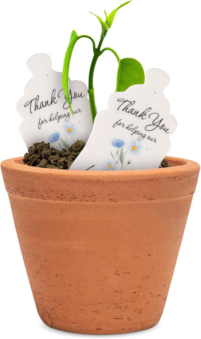 Plantable Bottle Shaped Seed Paper – 15 Blue Baby Shower Favors for Guests with Wildflower Seeds, Baby Shower Gifts for Guest