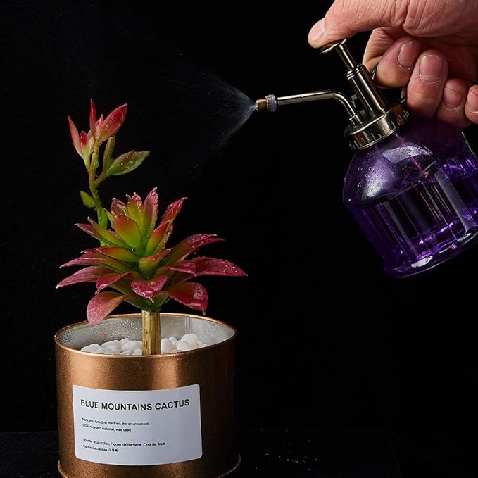 Glass Plant Mister Spray Bottle, Vintage Plant Spritzer Sprayer Mister, Succulent Watering Bottle with Top Pump, Small Glass Watering Can for Indoor Outdoor Houseplant - Purple