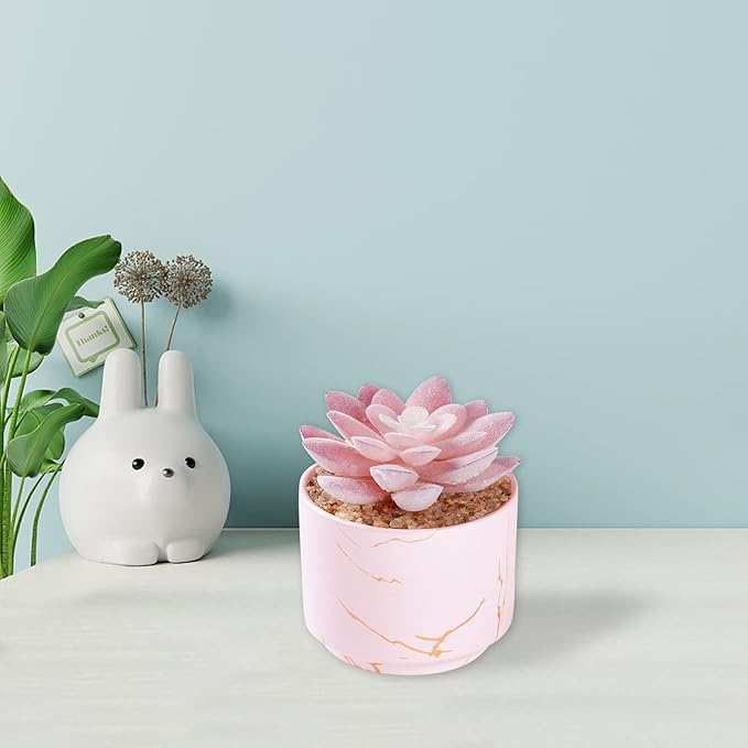 Succulent Artificial Plants,Cute Fake Succulents in 1 Pink Ceramic Pots,Small Fake Plants for Office,Table,Desk,Bathroom, Bedroom,Aesthetic Room Shelves Decor,Desk Decorations for Women Office