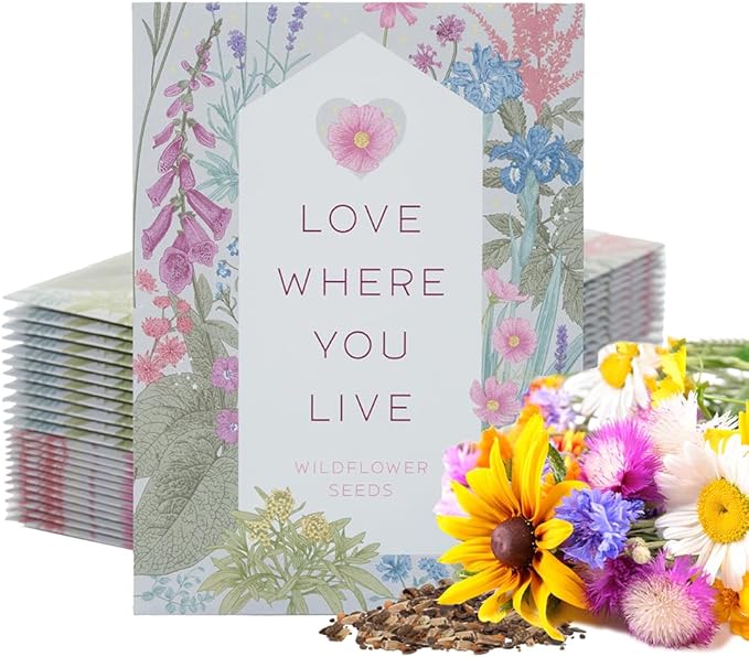 Bentley Seed Co. Love Where You Live - Wildflower Seeds Seed Packets - 25 Seed Packs - Perfect Eco-Friendly Gift for Gardeners & Friends - Non GMO Seeds