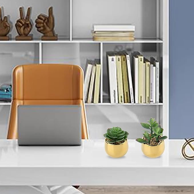 Briful Small Artificial Succulents in Pots Set of 2 Realistic Faux Succulents Plants with Gold Ceramic Pots Cute Mini Fake Plants Decor for Modern Home Table Office Desk Bathroom Shelf Decoration