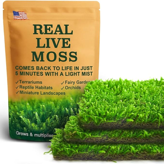 Live Moss – Hypnum Moss (3 Sheets, Each Approx. 3.5"x7") for Terrariums, Fairy Gardens, Bonsai & Natural Plant Decor – Naturally Grown, Reusable, Not Artificial