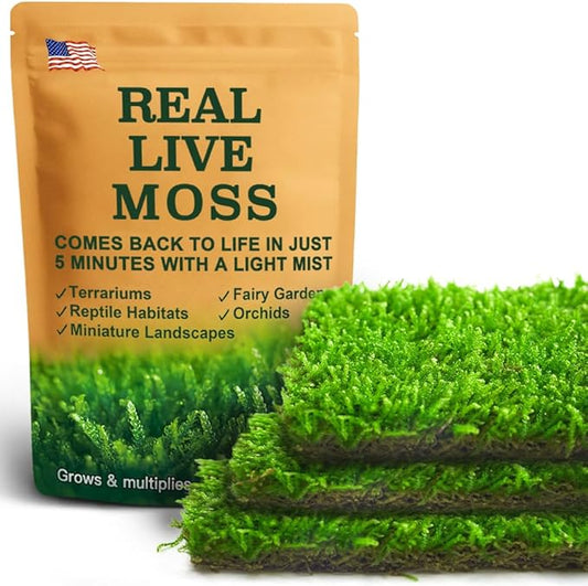 Live Moss – Hypnum Moss (3 Sheets, Each Approx. 3.5"x7") for Terrariums, Fairy Gardens, Bonsai & Natural Plant Decor – Naturally Grown, Reusable, Not Artificial