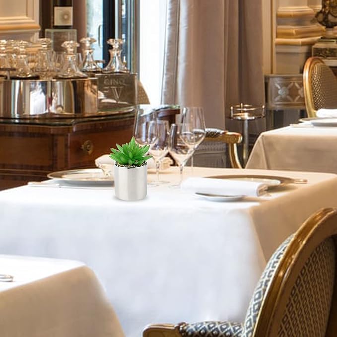 Briful Small Artificial Succulents in Pots Set of 2 Realistic Faux Succulents Plants with Silver Ceramic Pots Cute Mini Fake Plants Decor for Modern Home Table Office Desk Bathroom Shelf Decoration