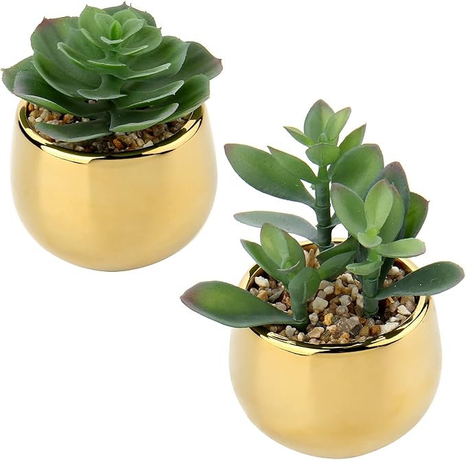 Briful Small Artificial Succulents in Pots Set of 2 Realistic Faux Succulents Plants with Gold Ceramic Pots Cute Mini Fake Plants Decor for Modern Home Table Office Desk Bathroom Shelf Decoration