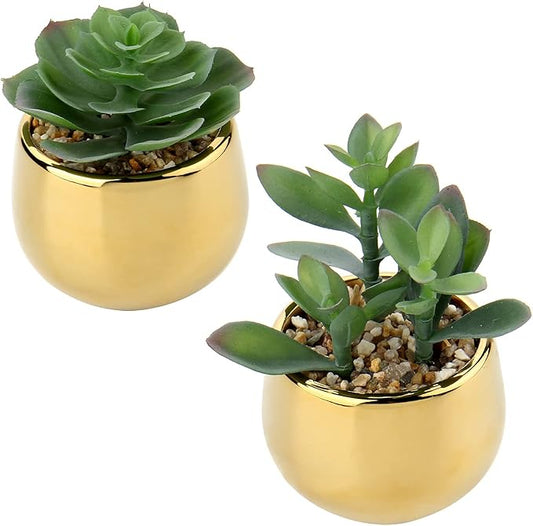 Briful Small Artificial Succulents in Pots Set of 2 Realistic Faux Succulents Plants with Gold Ceramic Pots Cute Mini Fake Plants Decor for Modern Home Table Office Desk Bathroom Shelf Decoration
