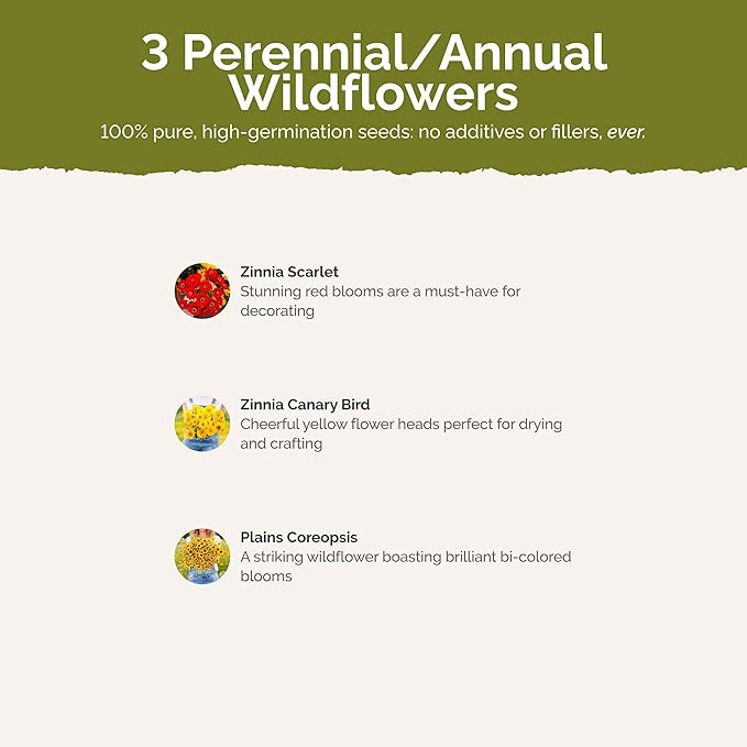 Eden Brothers Fiery Flower Mixed Seeds for Planting, 1/4 lb, 120,000+ Seeds with Zinnia Scarlet Flame, Plains Coreopsis | Attracts Pollinators, Plant in Spring or Fall, Zones 3, 4, 5, 6, 7, 8, 9, 10