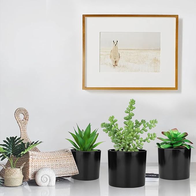 Hopewood Artificial Succulents Faux Potted Plant Decor, Small Fake Plants in Black Pot, Realistic and Lifelike for Book Shelf, Desk Decor, Home Office, Kitchen, or Bathroom Decor - Pack of 3