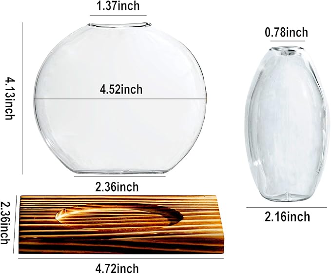 Glass Planter Propagation Station with Wooden Base - Clear Oblate Hydroponic Vase, Decorative Desktop Flower Vase for Home, Office, Windowsill - Gift for Plant Lovers (4)