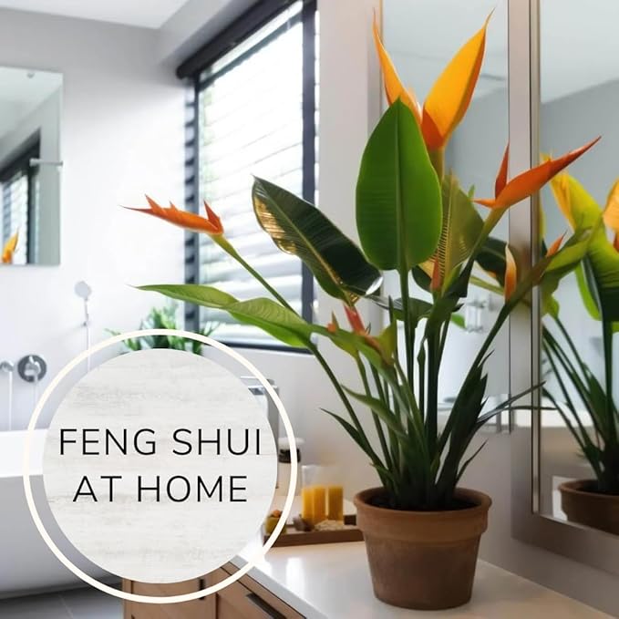 Bird of Paradise Plants Live (4-Pack), Strelitzia Plants with Perennial Orange Flowers, Indoor/Outdoor Plants, Exotic Tropical Decor, Not Artificial, 6-10" Height. 2" Pot