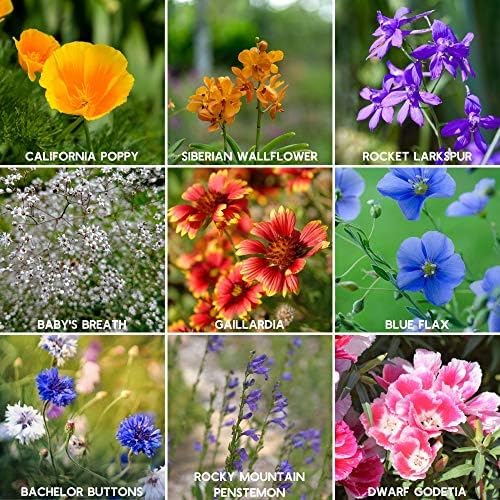 Rocky Mountain Wildflower Seeds Mix - 1 Lb Seed Pouch - 22 Wild Flower Seed Varieties - Annuals, Perennials and Bi-Annuals - Flower Garden