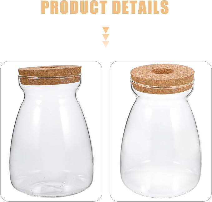 Glass Plant Jar -Plants Propagation Station - Micro Landscape Terrarium Container Desktop Plant Jar Hydroponic Vases Gardening for Plant Lovers(Size L)