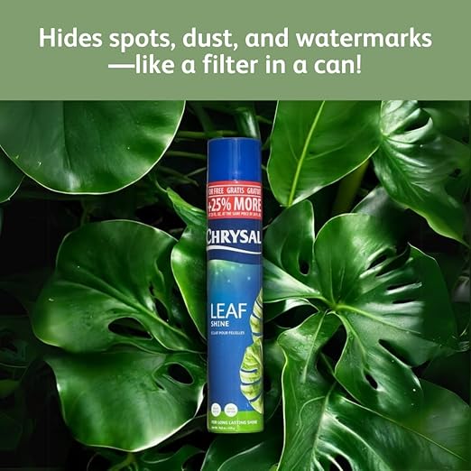 Chrysal Leafshine 25oz aerosol Bonus Size 25% More from Holland Formely Pokon/Item NO#I-86/Q-UI754383121
