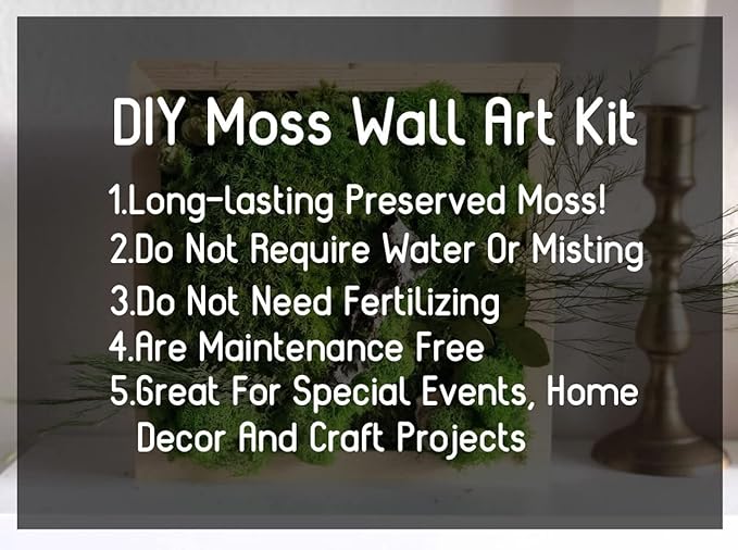 Preserved Reindeer Moss Natural Green DIY Kit Gardenning Art Wall Decor Florist Decor Easter Table Decor Wedding