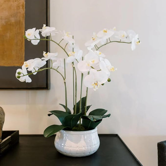 CG Hunter Faux White Orchid Plant, Premium Artificial Indoor Flower Display Stands 23”, Beautiful Sculptural Blooms That Lasts Forever, White Planter Pot Included