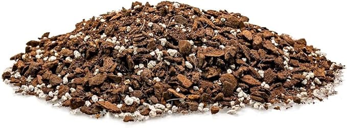 Premium Monstera Dubia Plant Potting Mix - Enhanced Aeration and Nutrient Retention - 1 Quart