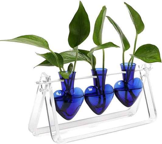 Clear Plant Terrarium Propagation Stations with Acrylic Stand Birthday Gifts for Women Office Home Decor