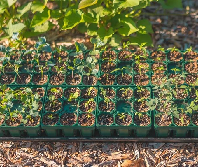 Vego garden Seedling Suite Products, 8 Pack Standard Seedling Trays with 10" x 20" Bottom Watering Trays