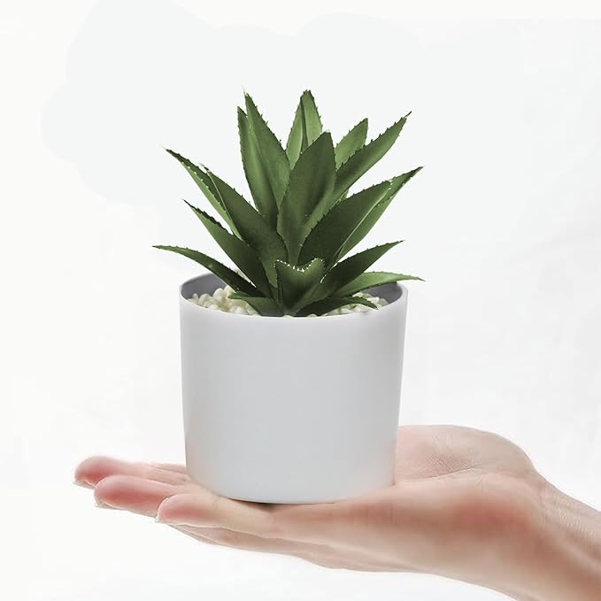 Hopewood Succulent Plants Artificial in White Pots Small Faux Potted Succulents Fake Plants in Vase Set of 3