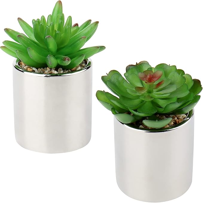 Briful Small Artificial Succulents in Pots Set of 2 Realistic Faux Succulents Plants with Silver Ceramic Pots Cute Mini Fake Plants Decor for Modern Home Table Office Desk Bathroom Shelf Decoration