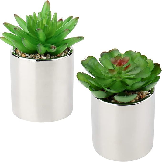 Briful Small Artificial Succulents in Pots Set of 2 Realistic Faux Succulents Plants with Silver Ceramic Pots Cute Mini Fake Plants Decor for Modern Home Table Office Desk Bathroom Shelf Decoration
