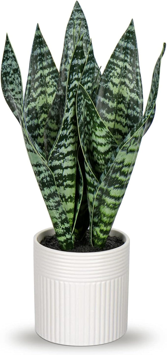 Briful 14'' Fake Snake Plant Home Decor Real Touch Faux Sansevieria Plant in White Ceramic Pot Artificial Snake Plant with Wide Leaves for Home Kitchen Office Living Room Bathroom Decorations