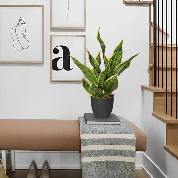 Artificial Snake Plant 11 Inch Small Potted Good Luck Plant Fake Snake Plants Faux Mother In Law Tongue Sansevieria Plant - Fake Laurentii for Indoor Outdoortall Fake Tropical Plant Home Office Decor