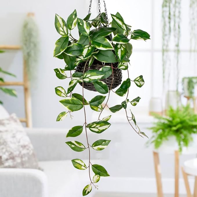 Oairse Artificial Hanging Plants Fake Hanging Plants with Pots Faux Golden Pothos N‘ Joy Potted Plant Wall Plant with Basket Pot for Wall Shelves Bedroom Bathroom Indoor Outdoor