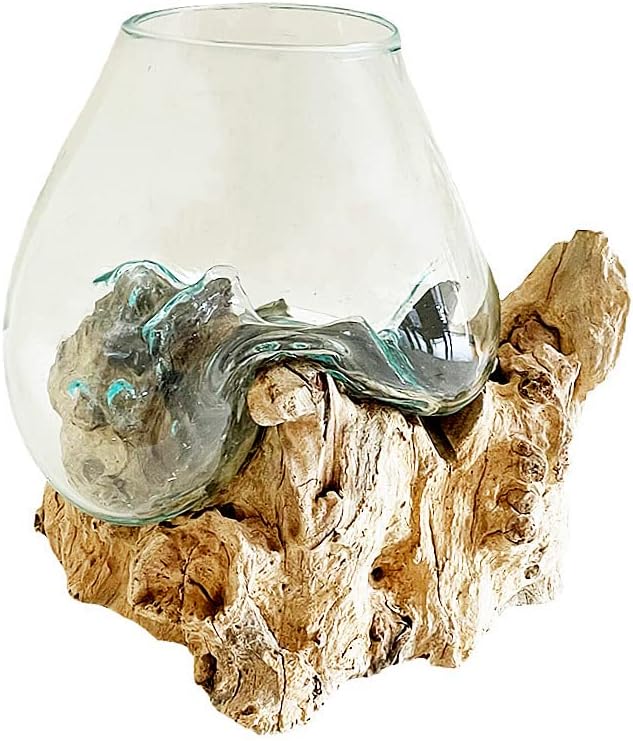OMA Hand Blown Molten Glass on Driftwood Terrarium Vase or Planter – Recycled Glass & Natural Wood for Coastal & Boho Home Décor (12"–14" High)
