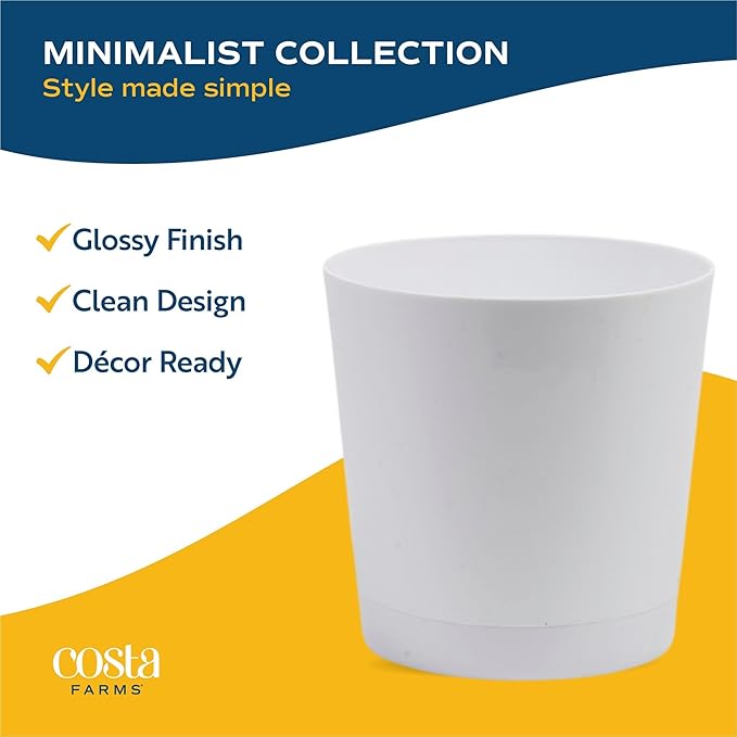 Costa Farms Majesty Palm Live Plant, Spring Decor, Giftable Plant Item, Indoor and Outdoor Live Palm Tree, Potted in Natural Pot, Tropical Patio, 3-4 Feet Tall