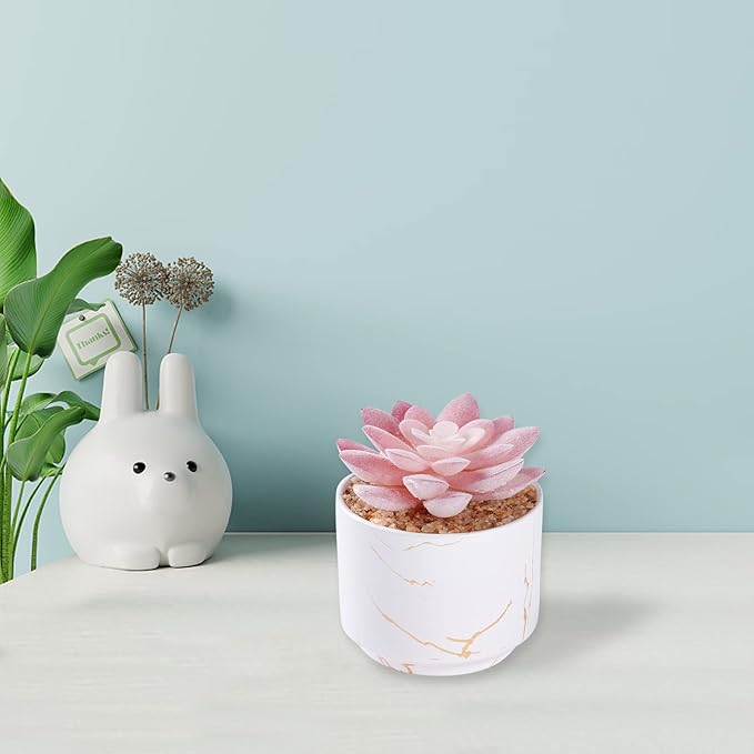 Succulent Artificial Plants,Cute Fake Succulents in 1 White Ceramic Pots,Small Fake Plants for Office,Table,Desk,Bathroom, Bedroom,Aesthetic Room Shelves Decor,Desk Decorations for Women Office