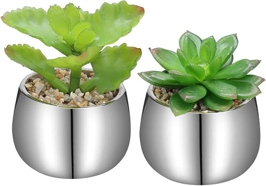 Briful Small Artificial Succulents in Pots Set of 2 Realistic Faux Succulents Plants with Silver Ceramic Pots Cute Mini Fake Plants Decor for Modern Home Table Office Desk Bathroom Shelf Decoration