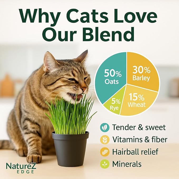 NatureZ Edge Premium Cat Grass Seeds for Indoor Cats, Non GMO - 1 lb Oat, Wheat, Barley & Rye Grass for Indoor Cats, Cat Plant, Kitty Lawn, Pet Grass, Hierba para Gatos, Made in USA