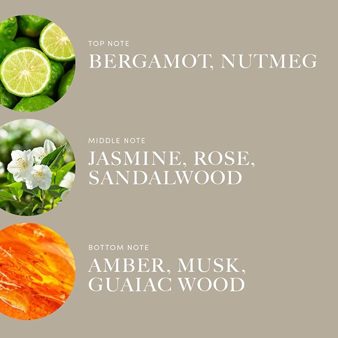 Aroma360 | Disney Reflection Fragrance Oil Blend | Disney Princess Mulan | Luxury Essential Diffuser Oil | Aromatherapy Scent Diffuser Oil | Bergamot, Nutmeg and Jasmine 1.7 fl oz 50mL