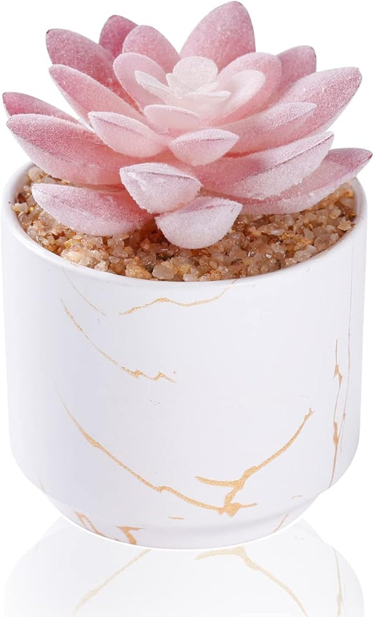 Succulent Artificial Plants,Cute Fake Succulents in 1 White Ceramic Pots,Small Fake Plants for Office,Table,Desk,Bathroom, Bedroom,Aesthetic Room Shelves Decor,Desk Decorations for Women Office