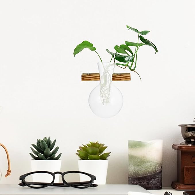 VOSAREA 3pcs Plant Propagation Station Vase Glass Plant Terrarium Hydroponic Vase Air Planter Bulb Succulent Pot Micro Landscape Vessel Desktop Decoration