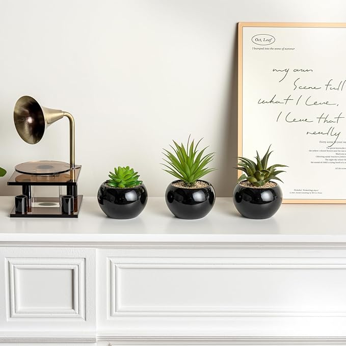 MyGift Mini Assorted Artificial Succulents in Round Black Ceramic Pots, Mixed Realistic Indoor House Plants, Set of 3