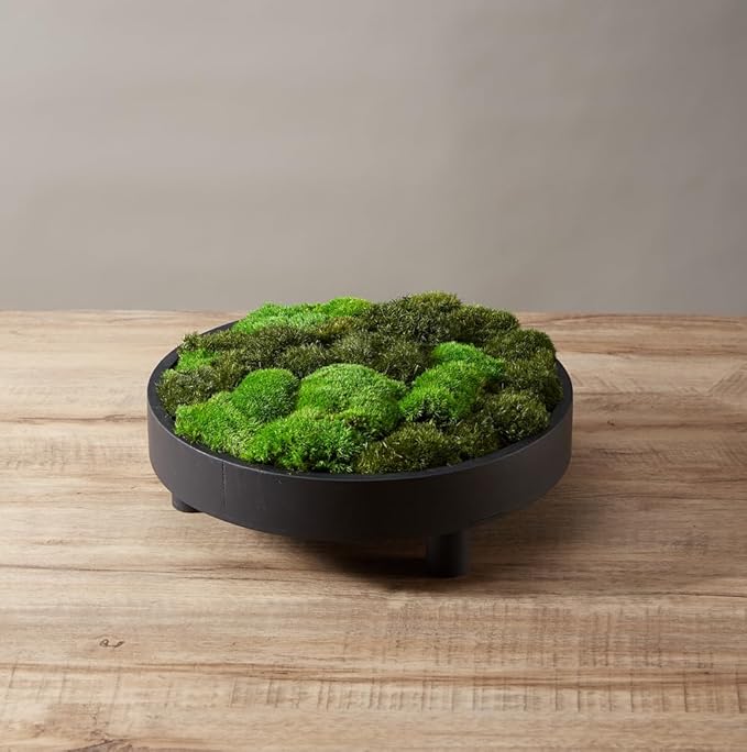 2 Color Mix Pack Preserved Pole Moss Pillow Bun Cushion Natural Decorative Green DIY Kit Art Wall Decor Florist Decor Easter Table Decor Wedding(1.5 sq.ft, Green-A,Green-B)